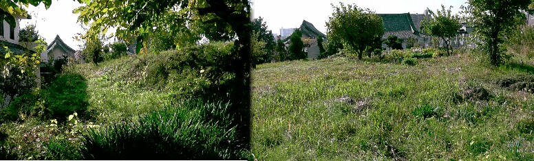 丹下砦跡。光明寺裏の墓地横に写真の台地（右、光明寺の屋根が見えます）を近くの方に教えて 頂きました。標識も案内もありませんが土塁（左）らしきものもあります。人がやっと通れる草 道があります。