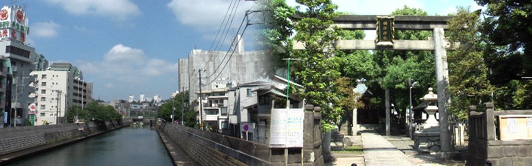 右は橘樹神社、 左写真はタマちゃんで有名になった帷子川（かたびら）で旧東海道の 天王橋から撮影。 天王橋