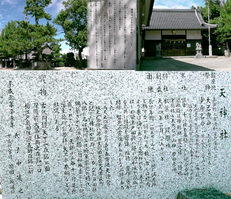 河和天神社。 御神木の説明文拡大 河和天神社 。