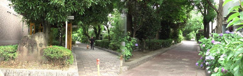 上野天満宮横を南に伸びる天満緑道。