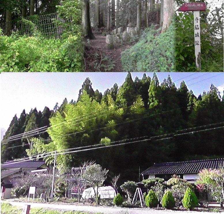 寺脇城址のある森（下）。上は矢印案内（右）から人がやっと通れる草道を進むと金網にぶつかり（左）、 そこで金網越しに墓石群(中)を撮り引き返しました。城址近くの９７歳のおじいちゃん（戦艦「大和」の元 乗組員）、寺脇集落の歴史を詳しく熱っぽく語