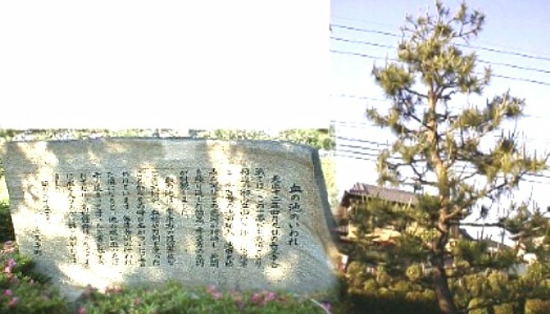 当時この近くに池があり、長久手合戦のとき、 諸軍勢が手で水をすくって飲んだり、血に染まった刀や槍を洗ったともいわれている。 右はこの池で刀や槍を洗うさいに武将が鎧をかけたといわれる「鎧がけの松」の3代目 (昭和57年7月1日植樹)です。