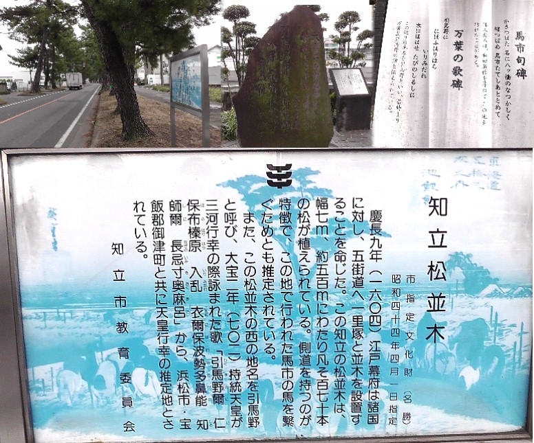 知立の松並木。４度目の訪問で案内板は新しく立て替えられていました。