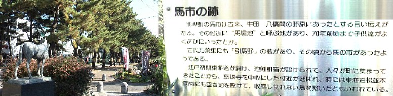 広重画検証：この付近を描いたもの。国道１号線から斜めに別れて東進すると 池鯉鮒（知立）の松並木がある。この当たりの野原で馬市が開かれ賑わった。