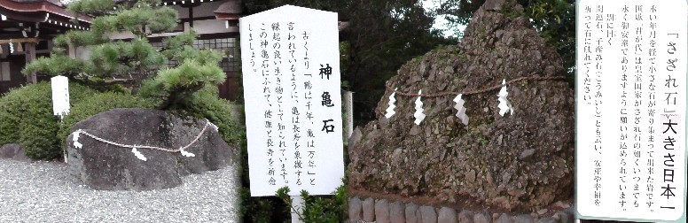 砥鹿神社境内、日本一のさざれ石（右）。神亀石（左）。