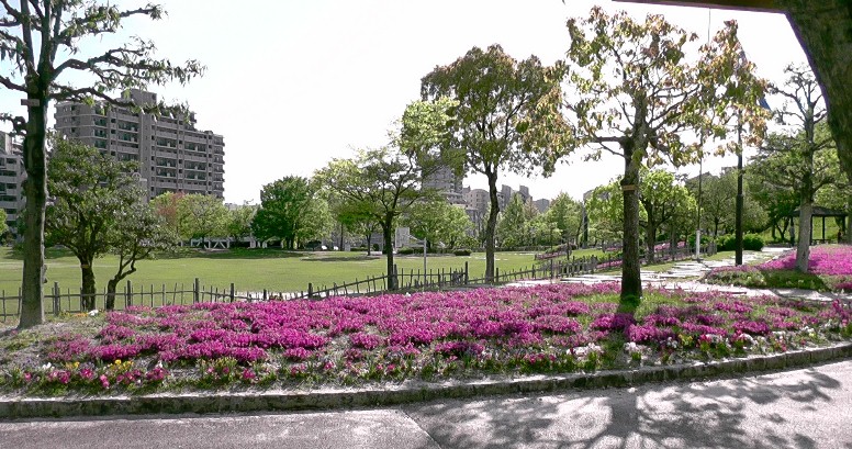 篠岡古窯跡群のある桃花台中央公園。