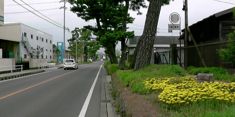 東海道松並木、今本町付近。 説明文拡大 。