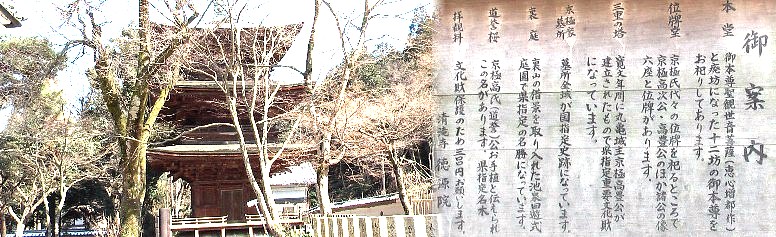 徳源寺の三重の塔。