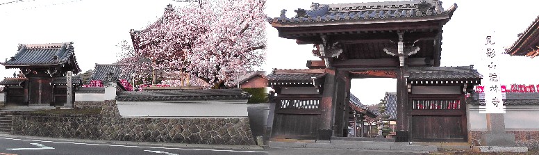 徳林寺。浄土宗西山深草派。本尊/阿弥陀如来。三河観音21番。