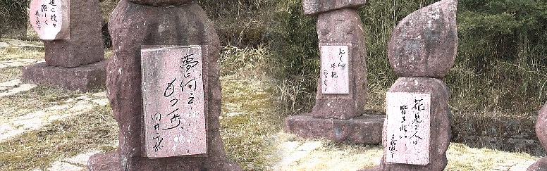 橋田須賀子さん、黒柳徹子さん、向井千秋さんなどの碑が見えます。