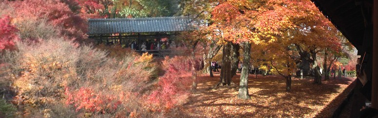 東福寺境内。通天橋を撮る(左)。