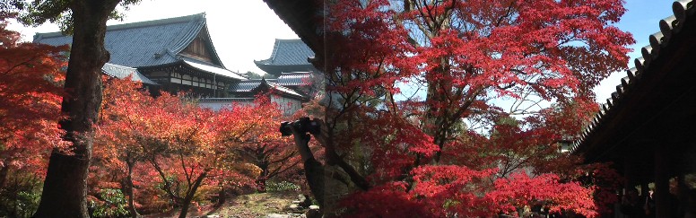東福寺方丈(左)。いずれも通天橋から撮影。