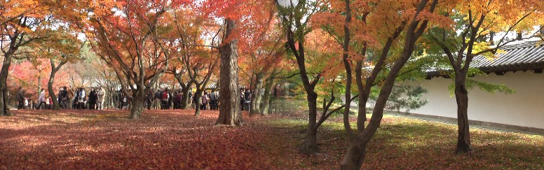 東福寺境内庭園。