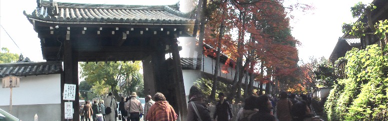 東福寺境内。