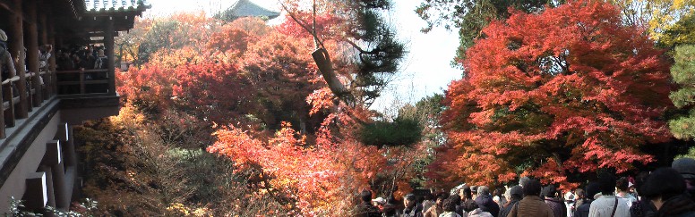 東福寺境内。通天橋・普門院庭園。