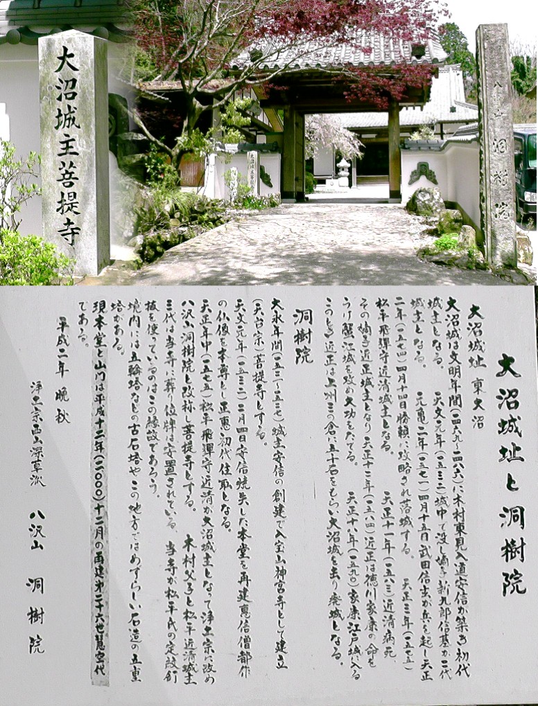 洞樹院。google map:洞樹院