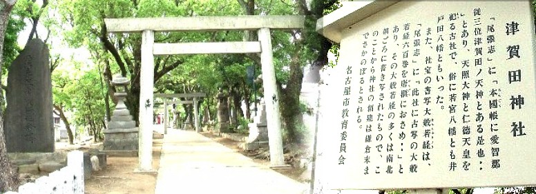若宮八幡あるいは井戸田八幡とも称され、神社は古墳の上に建てたと伝えられる。 神社の創建は鎌倉末までさかのぼるとされる。