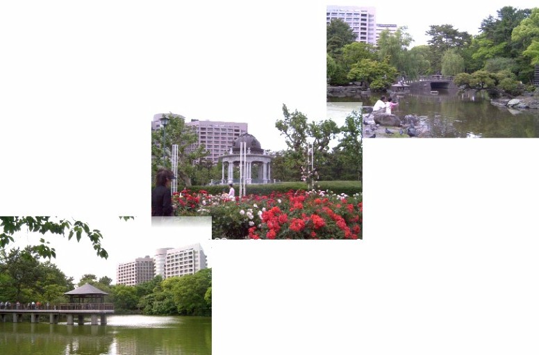 上から明治４３年に作られた胡蝶ケ池、中はバラ園と奏楽堂、下は龍ケ池、 桜、ハナショウブ、アジサイなど見所いっぱい、後方の建物は名古屋大学医学部付属病院。