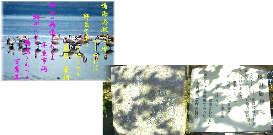 駅から南西約５００メートル、市立桜台高校東 の八幡社あたりは東南に傾斜した高台で野並から鳴海に かけての山山や年魚市潟（あゆちがた）を展望できる美しい 景勝地であった。