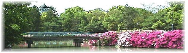 名城公園は戦前旧第三師団の陸軍錬兵場でした。樹木の間から見え隠れする金鯱城を 眺めながらの１週１.３キロのジョギング、サイクリングコースもあり、四季いろいろの 花咲く広場のオランダ風車,ナイター設備の野球場、県スポーツ会館、プール、テニスコ