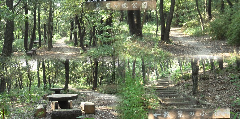 日曜午後素晴らしい天気でしたが１０人ほどの人に出会った（池周り）だけでした。猿（ムコドノ） の影響でしょうか。２２日中日新聞朝刊で「お縄でござる」とトップ記事、笠寺観音近くでとはやれ やれでした。