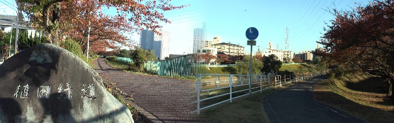 植田八幡社から植田交差点を横切りまもなく天白川の音聞橋を渡ります。ここから上流が植田緑道。