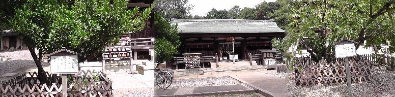 上地八幡宮本殿(国重要文化財、中)と右近の橘(左)、左近の桜(右)。