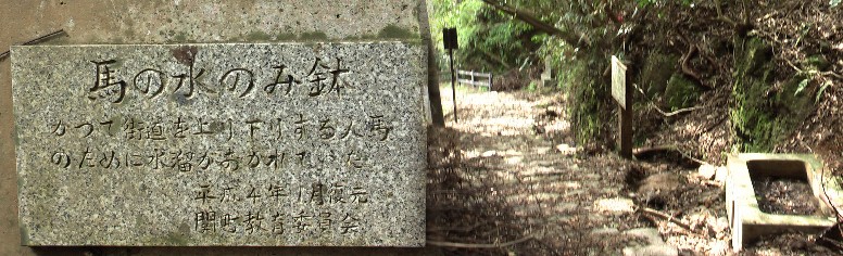 ポケットパークから１５メートルほど上にある馬の水のみ場の鉢跡、ここから引き返す。