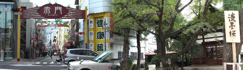 赤門通(左)から直線距離約50mで薄墨桜(三輪神社境内)が保存されているとは驚きです。