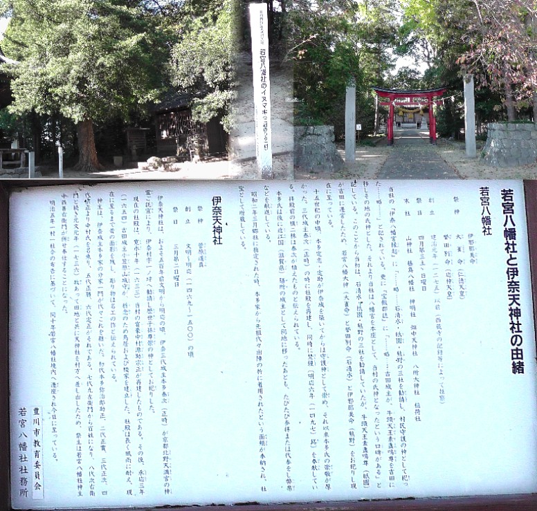 若宮八幡社。イヌマキの木が有名です。