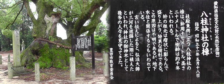 すごいとしか言いようのないクスの根っこ。