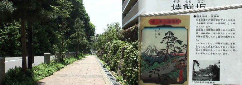 焼餅坂を江戸方から見下ろす。