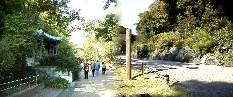 竹林と竹林見本園（no.10写真左）、薬草の道（no.１２写真右）