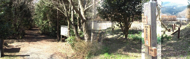 山中城から三島へ下る旧道（左）と一里塚の道標。