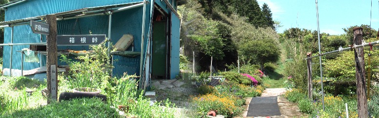 国道１号線を横切り箱根峠へ向かう箱根旧街道,信じられないほどの街道だが 角に民家が２～３軒ある。