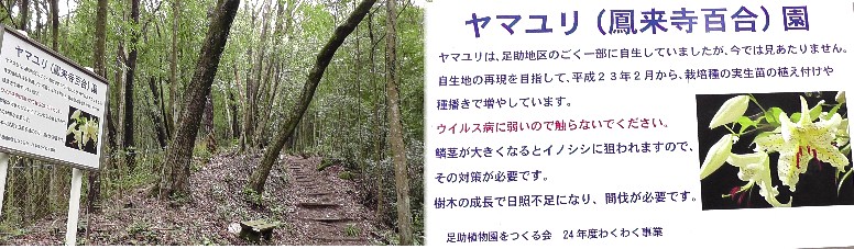 親王町ハイキングコース登り口。 親王町ハイキングコース登り口