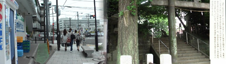 八坂神社（右）、鎌倉街道と交差する場所に高札場があったと記されているが見当たらない。