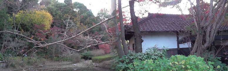 星ケ丘駅周辺案内（その３） 星が丘門にある流木のアート（2019.11.30訪問では見当たりませんでした） 大温室のハイビスカス（no.13） 竹林と竹林見本園（no.10写真左）、薬草の道（no.１２写真右） 中国産植物園林(no.11)