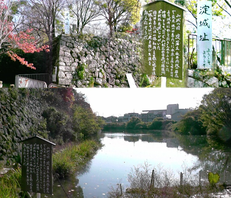 淀城址西側の堀風景。