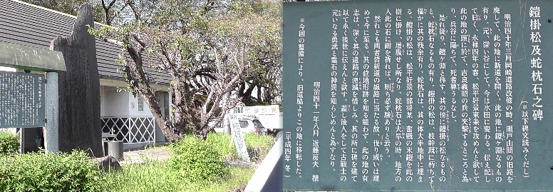 鎧掛松。鎧ケ淵古戦場跡の横にあります。