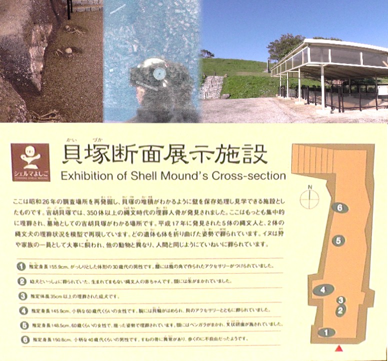 上左右は貝塚断面展示施設。上中は貝塚平面展示施設。 貝塚平面展示施設