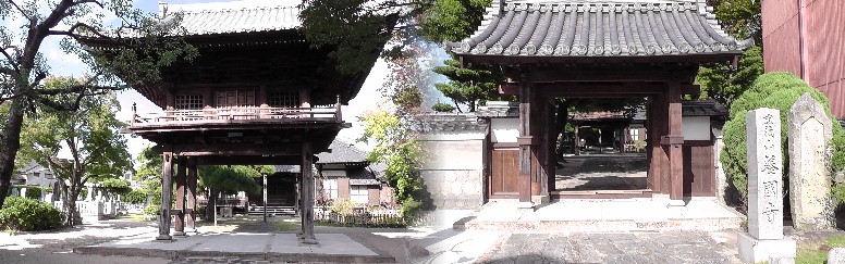 養国寺。愛知県西尾市にある開創六百年になる当地きっての古刹の一つ。 リンク：養国寺 養国寺