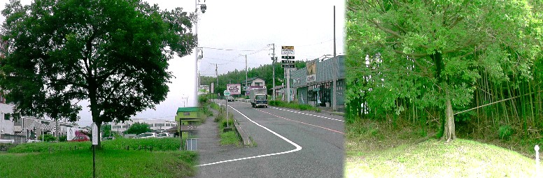 裕福寺一里塚。岡崎街道（県道５６号線、中）を挟んで南側一里塚（左）と北側一里塚（右）。 裕福寺一里塚