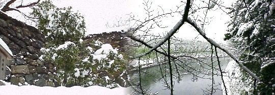 天守閣東の御殿椿(左)と二之丸庭園北から外堀、名城公園を見る