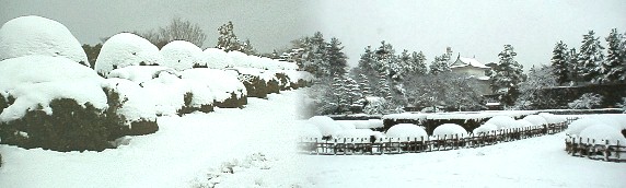 二之丸御殿跡と前庭