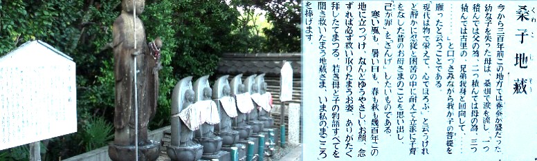 善住寺。本堂、境内など工事中でした。慶安4年(1651)に浄土宗に改宗し、「善住寺」と改称しました。 そのとき、建中寺の末寺となりました。寄棟造棧瓦葺きの本堂と表門は、水袋水田や弥次衛水田を開拓 した本地村庄屋中村弥次右衛門によって享保18
