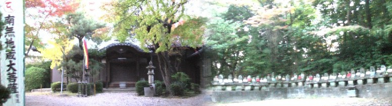 八事:善光寺。右は境内の石仏群。色とりどりの涎掛けをつけ、表情も個性的で豊かです。
