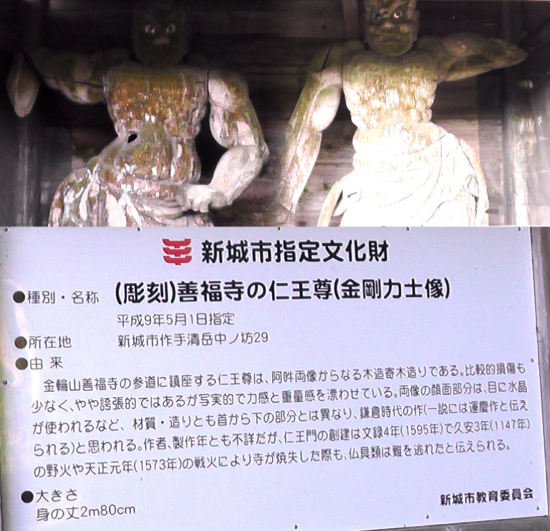 善福寺の仁王尊。