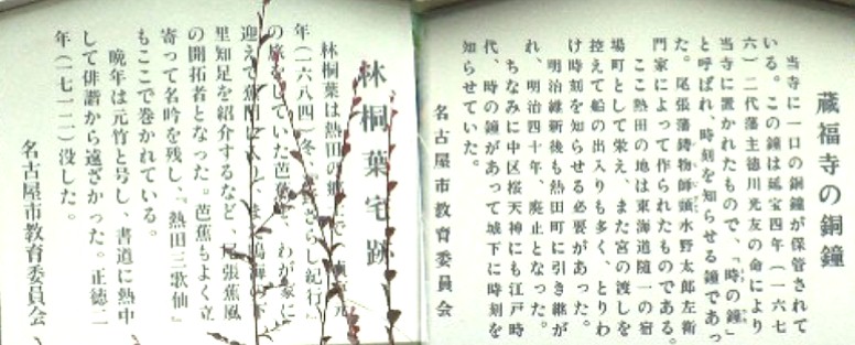 歩道橋を渡り南門前の両側にあります。