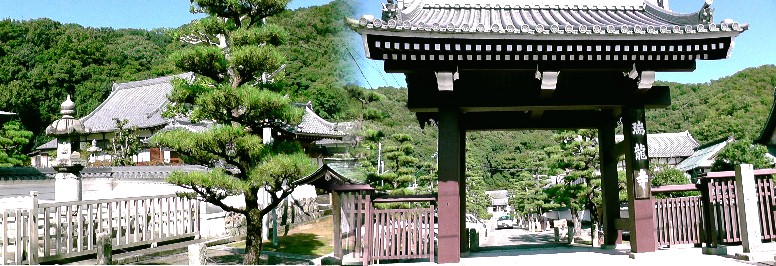 瑞龍寺。美濃国の実権を握る斎藤妙椿が、美濃国守護である土岐成頼の菩提所として建立。 境内には6つの塔頭があり山裾に広大な寺域となっています。 瑞龍寺 瑞龍寺